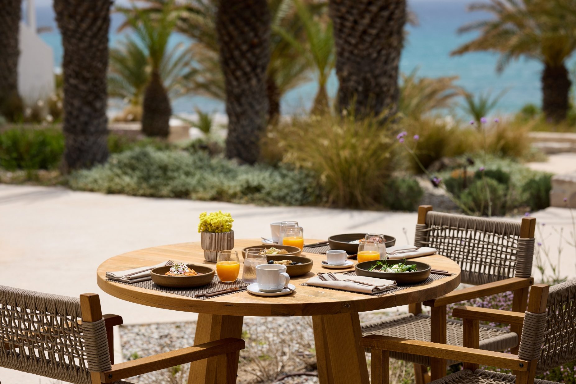 golden milos breakfast 1